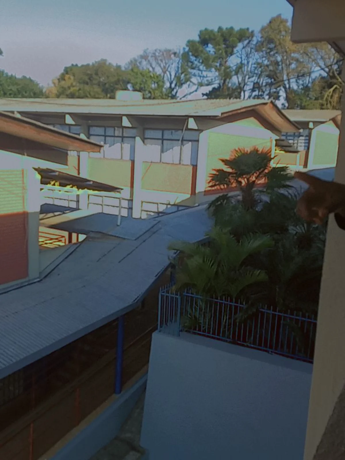 Vista elevada do pátio e telhados de um conjunto de prédios escolares, com árvores ao fundo